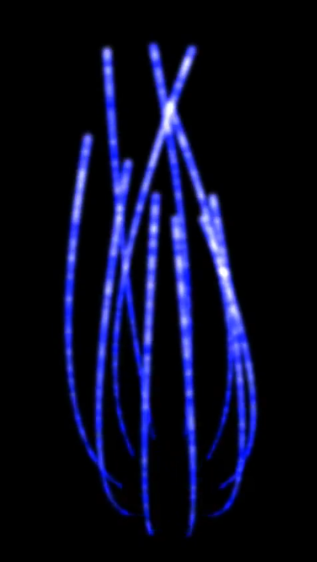 Particle System